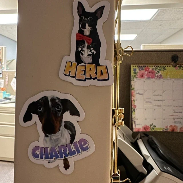 Turn Photos into Custom Magnets - Image 18